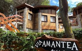 Departamentos Amantea
